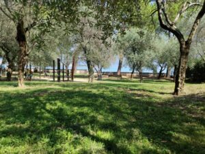 Lago di Garda con i bambini: la Benella, pineta