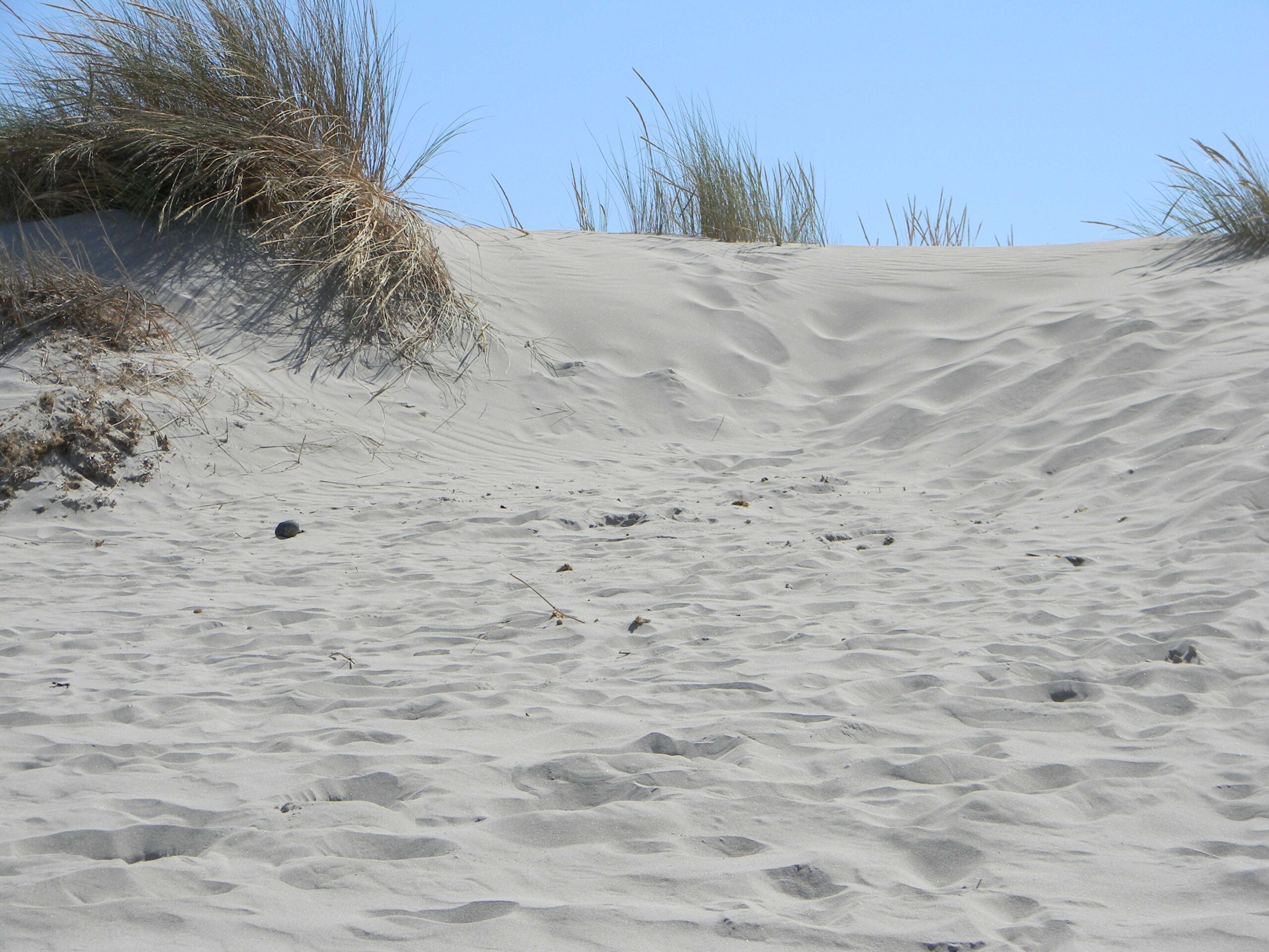 10 cose da fare in Sardegna in inverno sabbia soffice