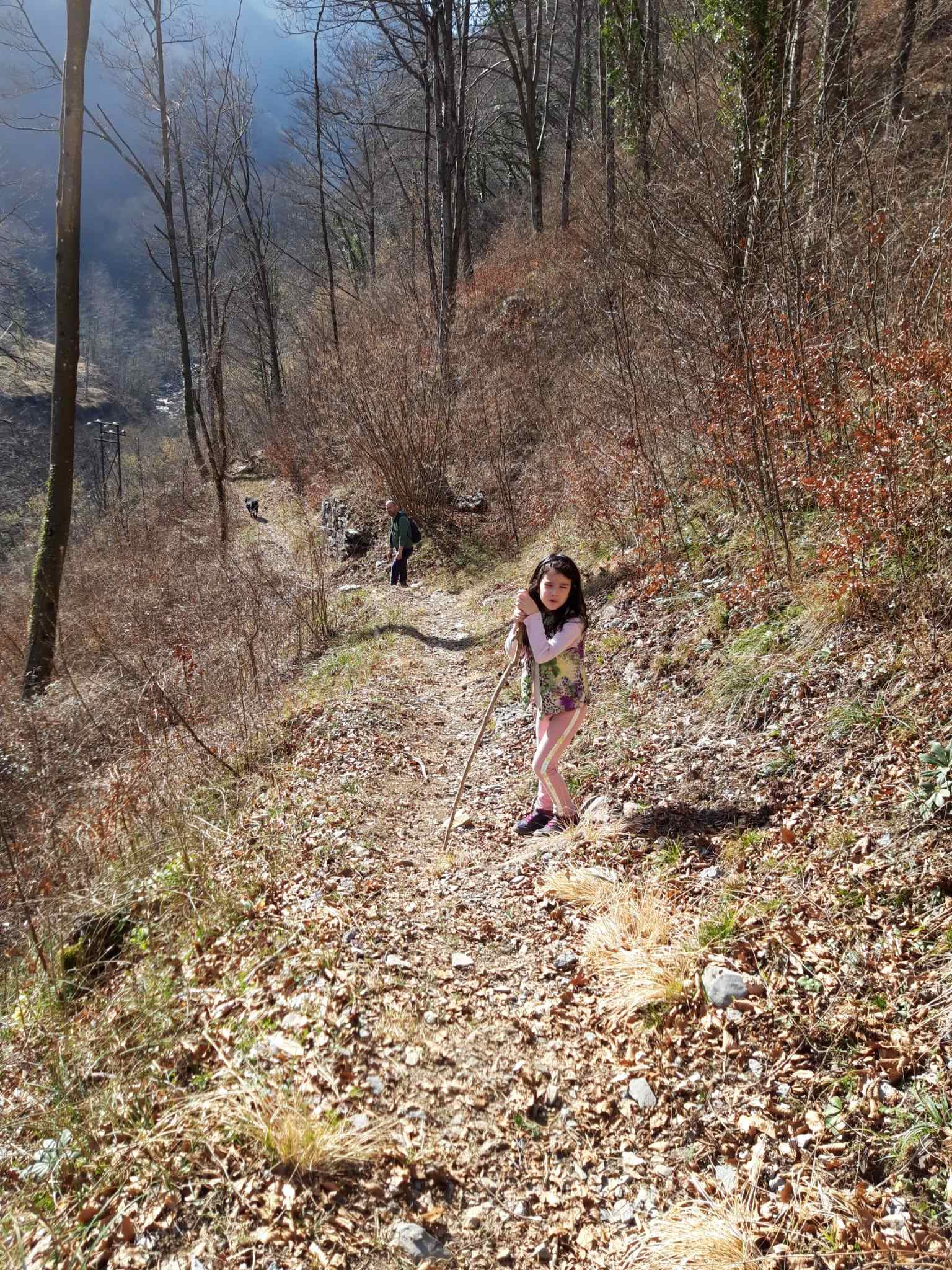 Passeggiate con i bambini in Lombardia : sorgenti del fiume Enna il bosco