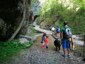 Cascate di Val Vertova: passeggiate facili a Bergamo, l'avventura