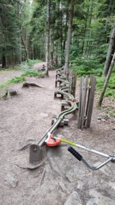 Foresta Nera con i Bambini; Kugelwaldpfad lavorazioni del legno