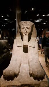 Museo egizio la sfinge