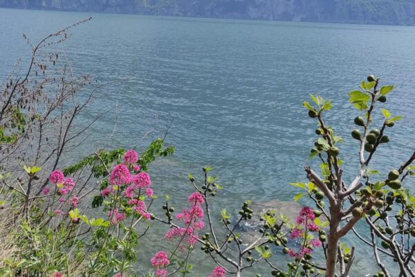 Lago-Iseo-scoperta-Baia-Bogn-panorama-lago