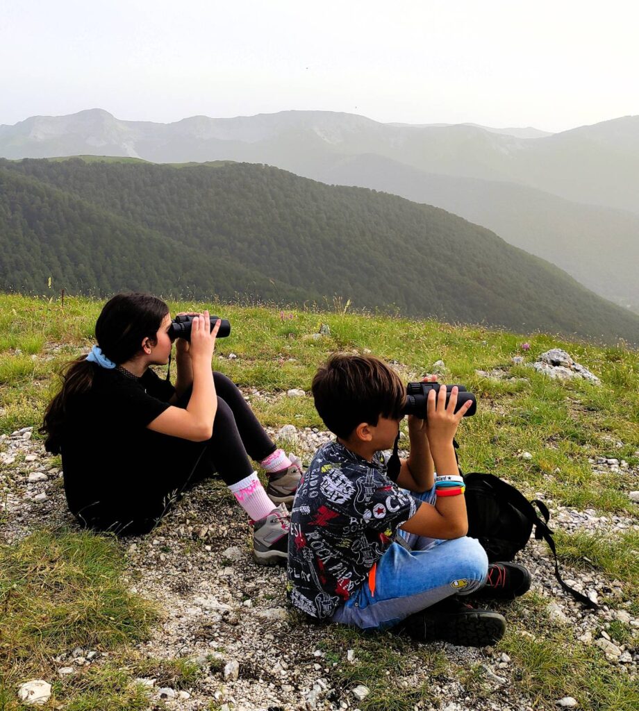 avvistare orsi in Abruzzo - osservazione