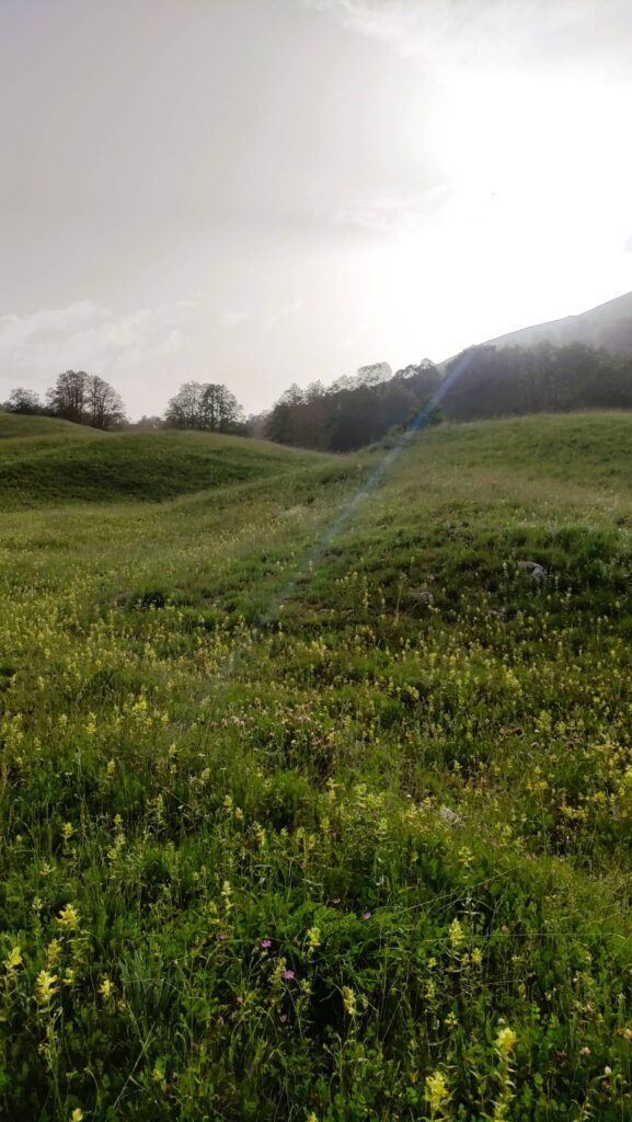 avvistare orsi in Abruzzo - tramonto