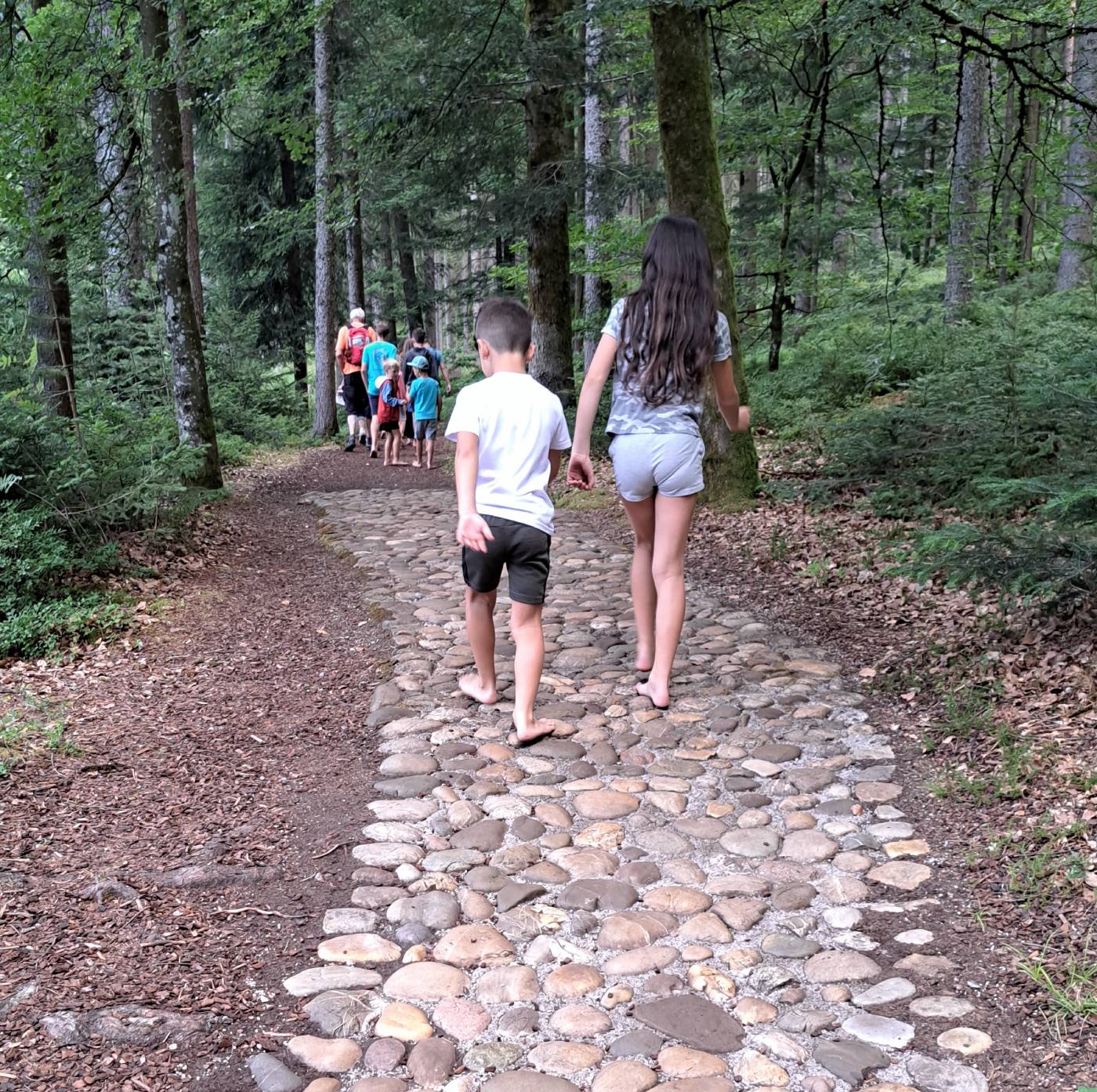 PASSEGGIATA A PIEDI NUDI NEL BOSCO