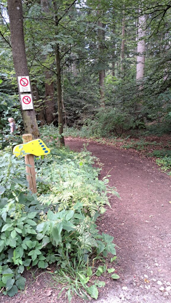 passeggiata a piedi nudi nel bosco - i piedoni