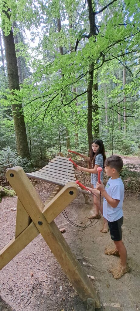 passeggiata a piedi nudi nel bosco - stazioni di gioco