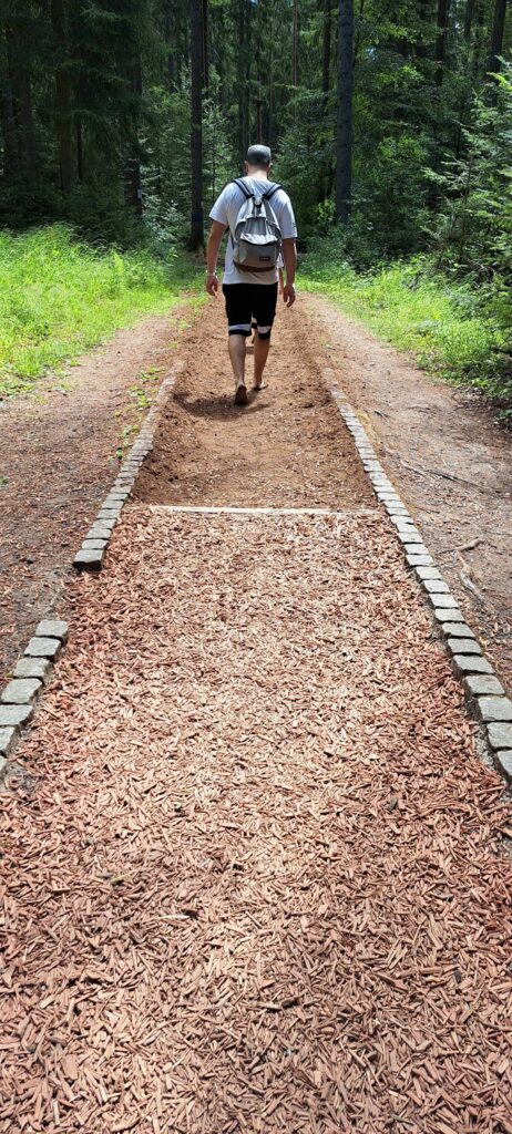 passeggiata a piedi nudi nel bosco- la terra