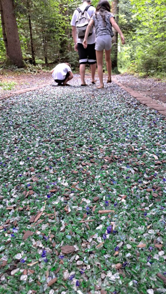 passeggiata a piedi nudi nel bosco-i vetri