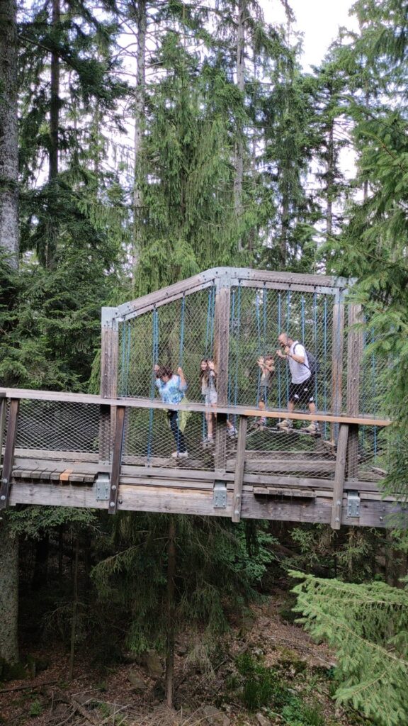 Sentiero sugli alberi in Germania; Baumwipfelpfad-avventura