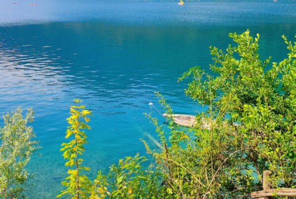 Lago di Ledro, copertina