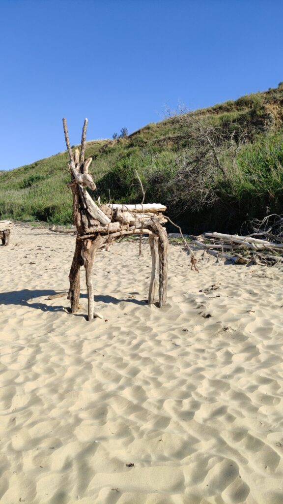 Le spiagge più belle d'Abruzzo, Punta Penna arte