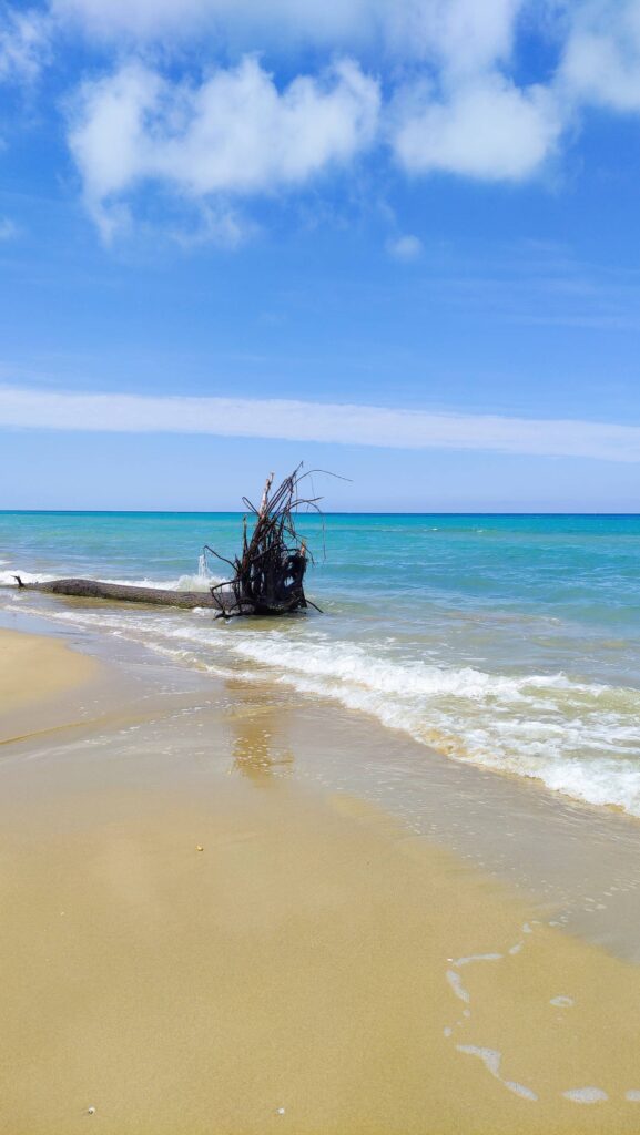 Le spiagge più belle d'Abruzzo, Torre Cerrano