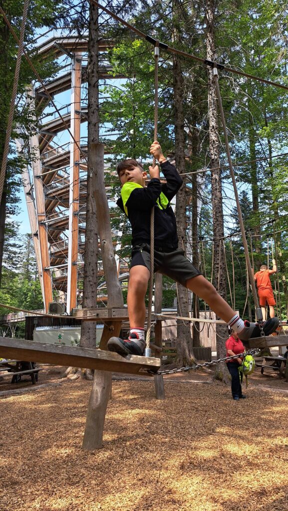 Bosco avventura foresta nera, l'arrampicata