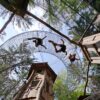 Bosco avventura foresta nera, il castello