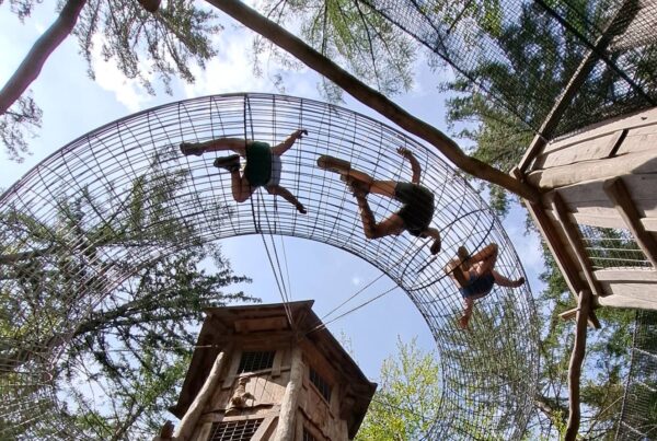 Bosco avventura foresta nera, il castello