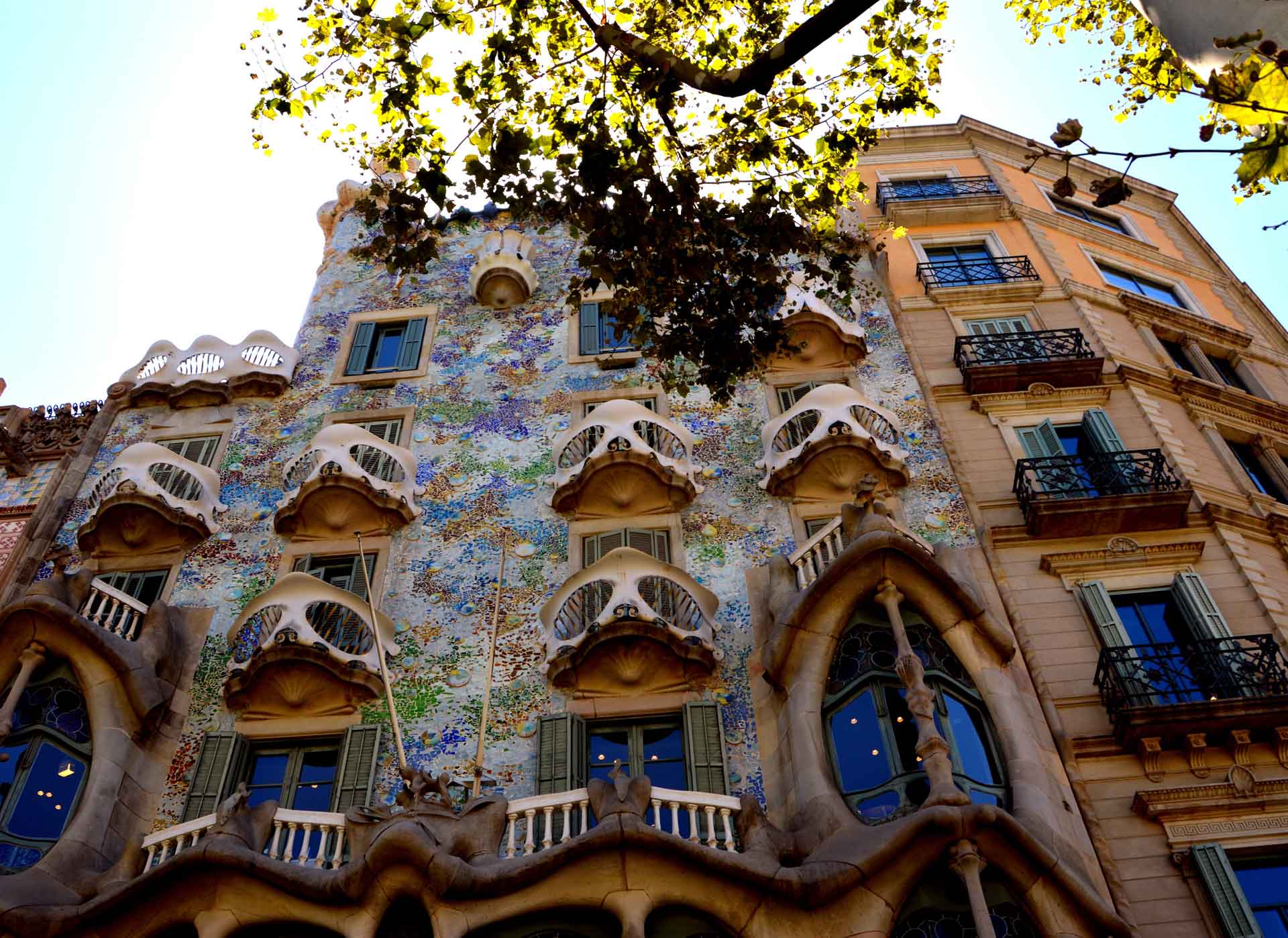 I Segreti della “Casa Batlló” di Gaudí a Barcellona