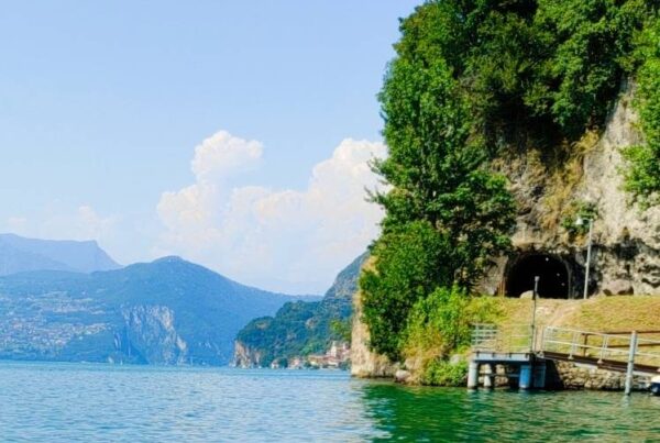 Piccola Tahiti acqua, paperelle copertina immagine