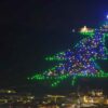 Albero di Natale più grande del mondo