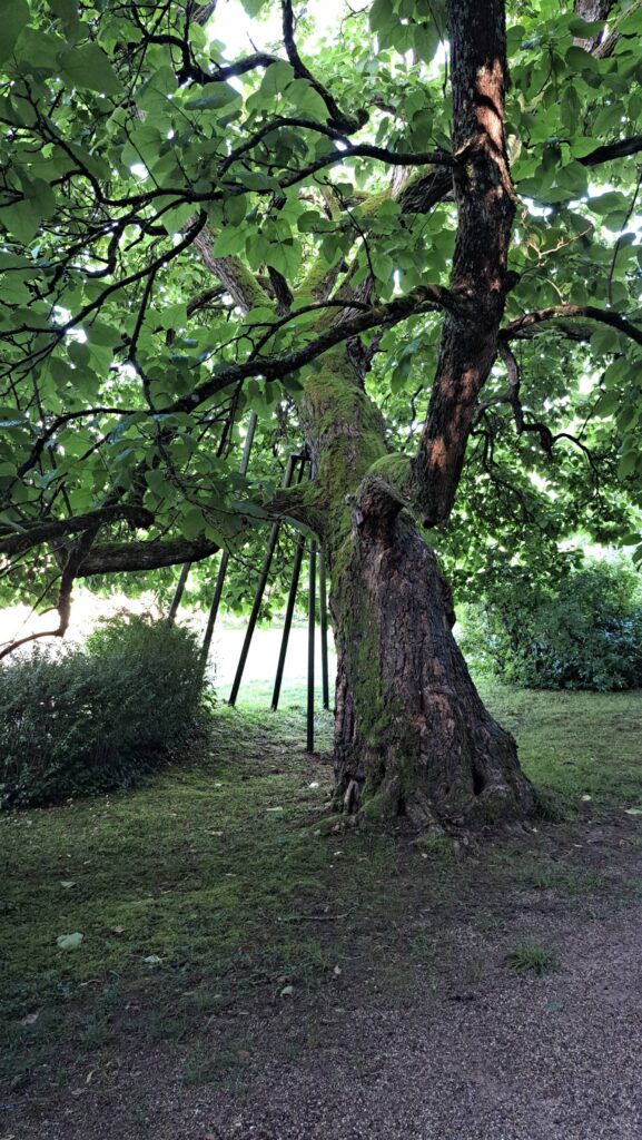 Lichtentaler allee la natura